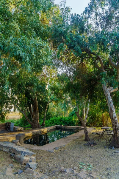 Vue Sur Piscine Orha Jukhadar Avec Des Eucalyptus Les Hauteurs — Photo