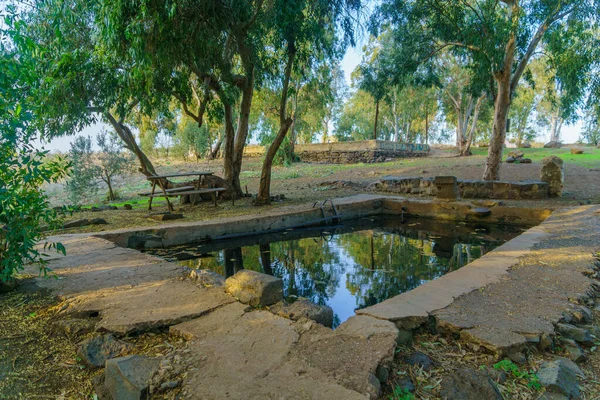 Blick Auf Den Orha Pool Jukhadar Mit Eukalyptusbäumen Die Golanhöhen — Stockfoto