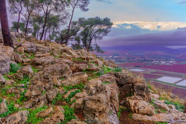 Vinterlandskap Jezreel Valley Från Mount Shaul Del Gilboa Ridge Norra — Stockfoto