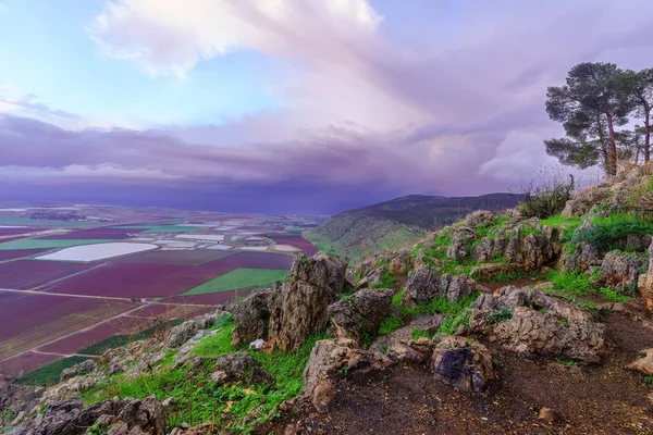 ギルボア尾根の一部であるシャウル山からジェズリール渓谷の冬の風景 北イスラエル — ストック写真