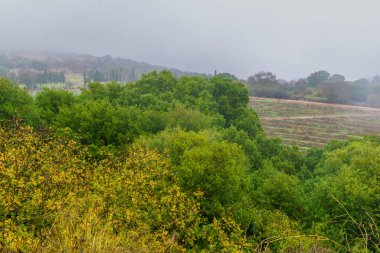 Sisli bir kış gününde Yiftah yakınlarındaki Yukarı Celile 'nin kırsal manzarası. Kuzey İsrail