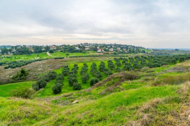 İsrail 'in orta kesimindeki Judaean Dağları' nın eteklerindeki Tel Gezer 'den manzara ve kırsal kesim