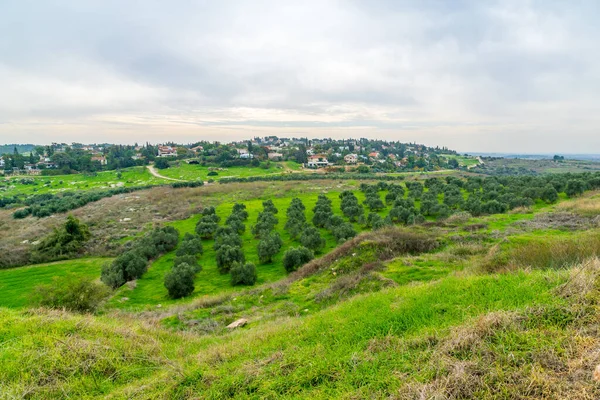 View Landscape Countryside Tel Gezer Foothills Judaean Mountains Central Israel — ストック写真