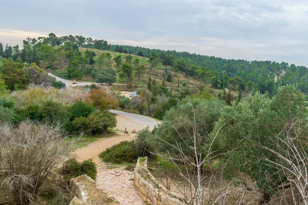 Landscape Tzora Forest Foothills Judaean Mountains Central Israel — стоковое фото