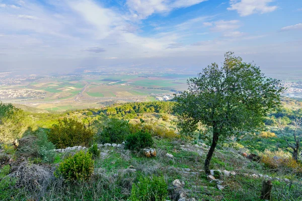 Pohled Jezreel Údolí Krajiny Silniční Sítě Hory Carmel Severní Izrael — Stock fotografie