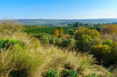 Kuzey İsrail 'deki Tel Dan Doğa Rezervi' ndeki Golan Tepeleri 'ne doğru manzara