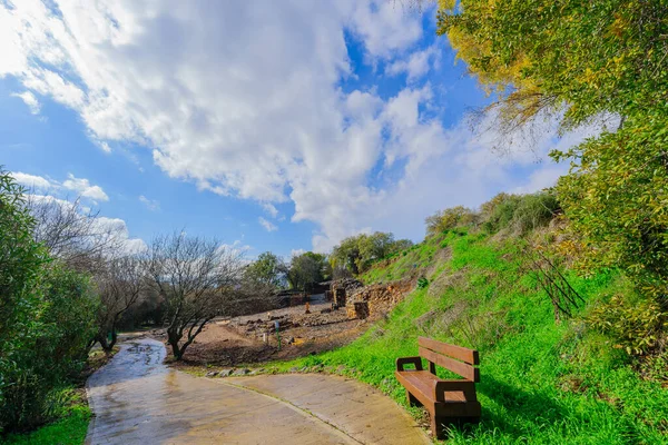 Vista Invierno Los Árboles Antigua Ciudad Cananea Israelita Dan Reserva — Foto de Stock