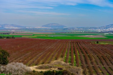 Jezreel Vadisi kırsalının manzarası ve Kuzey İsrail, Megiddo 'dan görünen Tabor Dağı.