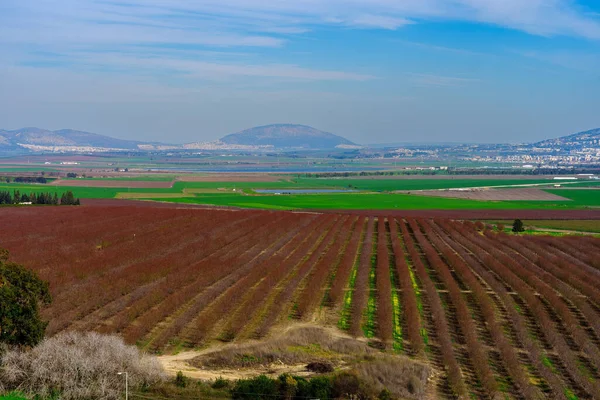 北イスラエル メギドから見たジェズリール渓谷の田園風景とタボール山の風景 — ストック写真