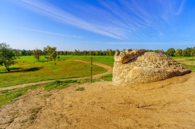Marva Grove, Kuzey Negev Çölü, Güney İsrail 'de kızıl anemon çiçekleri arasında antik bir su kuyusu manzarası