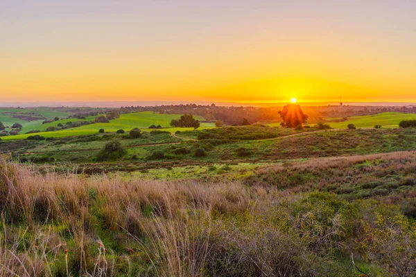 Soluppgången Syn Landsbygden Kibbutz Ruhama Norra Negevöknen Södra Israel — Stockfoto