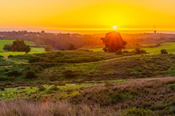 Soluppgången Syn Landsbygden Kibbutz Ruhama Norra Negevöknen Södra Israel — Stockfoto