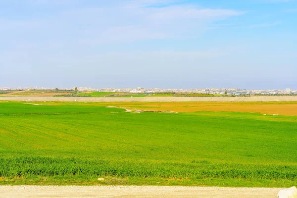 Över Landsbygden Och Staden Gaza Bakgrunden Sett Från Norra Negevöknen — Stockfoto