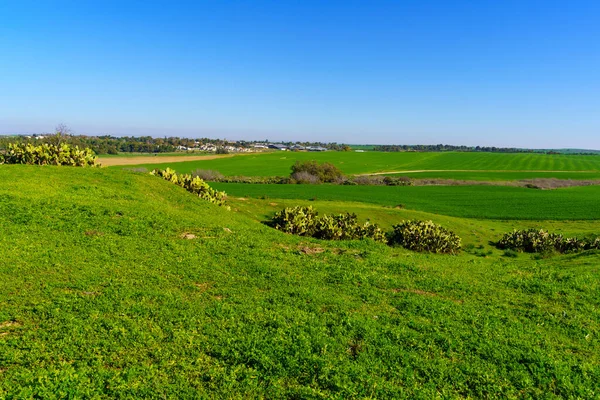 Blick Auf Landschaft Und Kibbuz Dorot Nördliche Negev Wüste Südisrael — Stockfoto