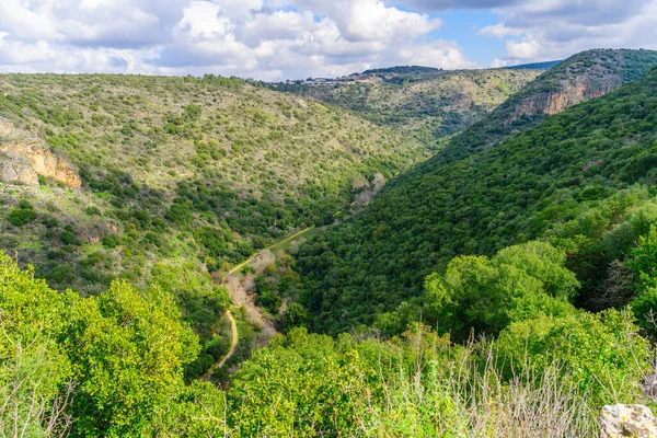 Пейзаж Долины Реки Кзив Верхняя Галилея Северный Израиль — стоковое фото