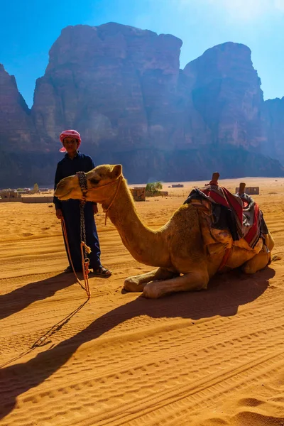 Wadi Rum Giordania Ottobre 2021 Giovane Beduino Con Suo Cammello — Foto Stock