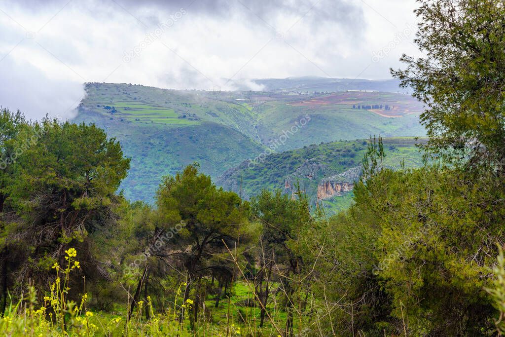 Winter view of landscape and countryside of the Dishon valley, Upper Galilee, Northern Israel