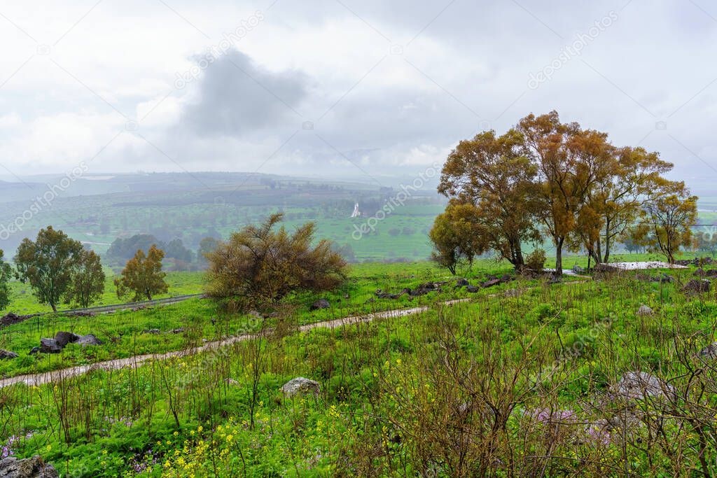 View from the Golan Heights of Eucalyptus trees, and the landscape of the Hula Valley, on a foggy winter day. Northern Israel
