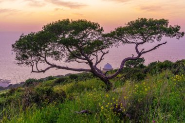 Kutsal Aile Şapeli 'nin gün batımı manzarası, ve Akdeniz, Mount Carmel' de, bir ağaç ve bahar kır çiçekleri, Hayfa, Kuzey İsrail