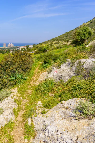 Utsikt Från Västra Sluttningarna Berget Carmel Mot Carmel Beach Hotell — Stockfoto