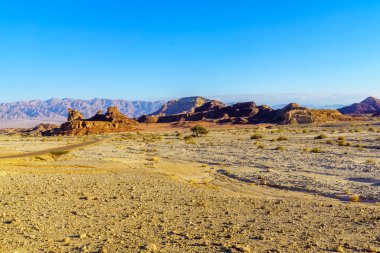 İsrail 'in güneyindeki Timna çöl parkındaki sfenks şekilli kaya ve manzara
