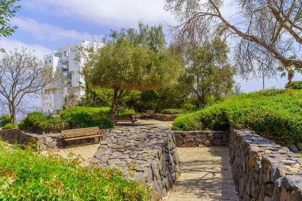 Blick Auf Yordey Hayam Matrosen Garten Und Aussichtspunkt Haifa Nordisrael — Stockfoto