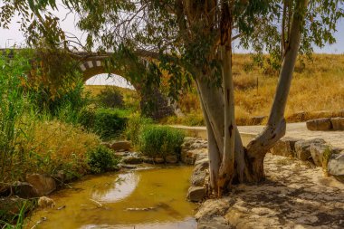 View of an old train bridge over the Yisachar Stream, and Eucalyptus tree, in the Lower Jordan River valley, Northern Israel