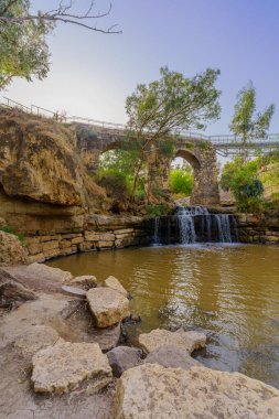 Kuzey İsrail 'deki Ürdün Nehri vadisinde, Harod Nehri' nin üzerinde, okaliptüs ağaçlarıyla antik Kantar köprüsünün manzarası.
