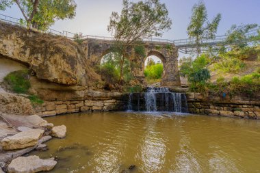 View of the ancient Kantar bridge, over the Harod Stream, with Eucalyptus trees, in the Lower Jordan River valley, Northern Israel