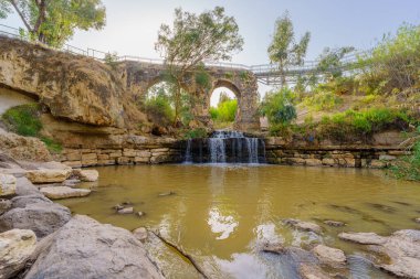 View of the ancient Kantar bridge, over the Harod Stream, with Eucalyptus trees, in the Lower Jordan River valley, Northern Israel
