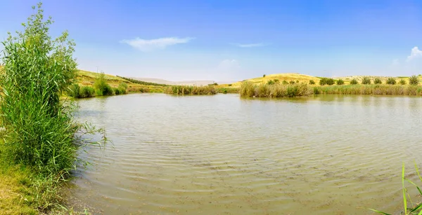 View Lower Jordan River Morad Hayarden Park Northern Israel — стоковое фото