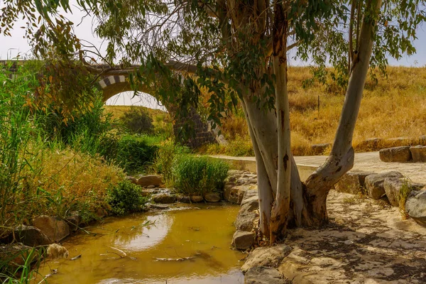 Yisachar Stream 철교와 이스라엘 북부의 요르단 유클리드 피터스 나무의 — 스톡 사진