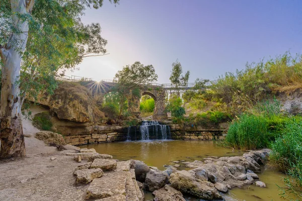 View Ancient Kantar Bridge Harod Stream Eucalyptus Trees Lower Jordan — Stok fotoğraf