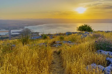Arbel Dağı 'ndan (batı yakasından) Celile Denizi' nin gündoğumu manzarası. Kuzey İsrail. Kır çiçekleriyle