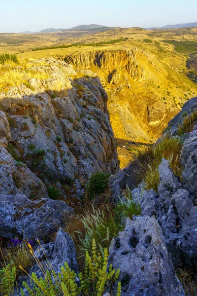 Pohled Divoké Květiny Útesy Mount Nitai Pozadí Hoře Arbel Severní — Stock fotografie