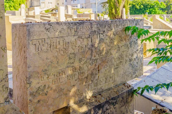 Tel Aviv Israel Maj 2022 Udsigt Den Historiske Trompeldor Kirkegård - Stock-foto