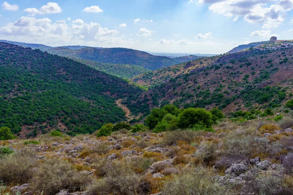 Vista Paisagem Galileia Vale Hilazon Karmiel Norte Israel — Fotografia de Stock