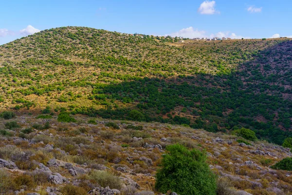 Pohled Galilejskou Krajinu Karmielu Severní Izrael — Stock fotografie