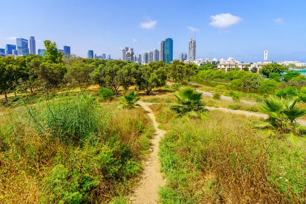 Tel Aviv Israël Juin 2022 Vue Sentier Pédestre Des Arbres — Photo