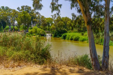 Yarkon Nehri manzarası, ve ağaçlar, Yarkon Park, Tel-Aviv, İsrail