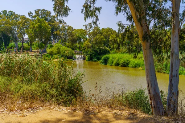 Blick Auf Den Yarkon Fluss Und Bäume Yarkon Park Tel — Stockfoto