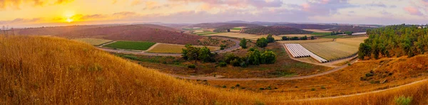 Sunrise Panorama Countryside Rolling Hills Shephelah Region Lachish South Central — Fotografie, imagine de stoc