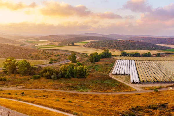 Sunrise View Countryside Rolling Hills Shephelah Region Lachish South Central — стоковое фото