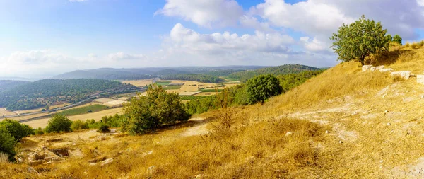 Panoramic View Trees Countryside Rolling Hills Shephelah Region Azekah South — 图库照片