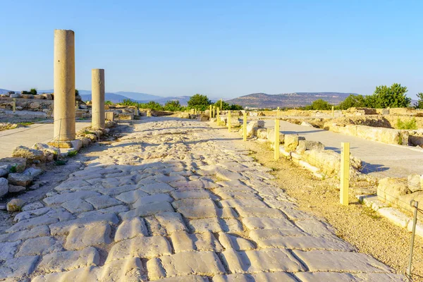 View Ancient Roman Era Main Street Cardo Tzipori National Park — Stok fotoğraf