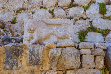 View of Lion carving (Mamluk period, 1275), in the Medieval Nimrod Fortress, the Golan Heights, Northern Israel