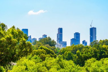 Tel-Aviv, Israel - June 17, 2022: View of trees, and office buildings in the background, in the Yarkon Park, Tel-Aviv, Israel