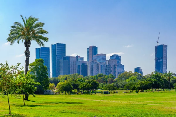 Tel Aviv Israel Juni 2022 Utsikt Över Gräsmattor Träd Och — Stockfoto