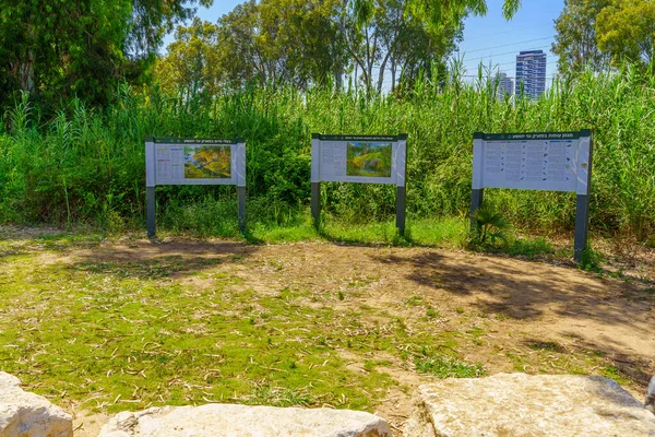 Tel Aviv Israel June 2022 View Nature Explanation Signs Yarkon — Stockfoto