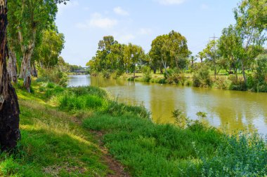 Yarkon Nehri manzarası, ve ağaçlar, Yarkon Park, Tel-Aviv, İsrail